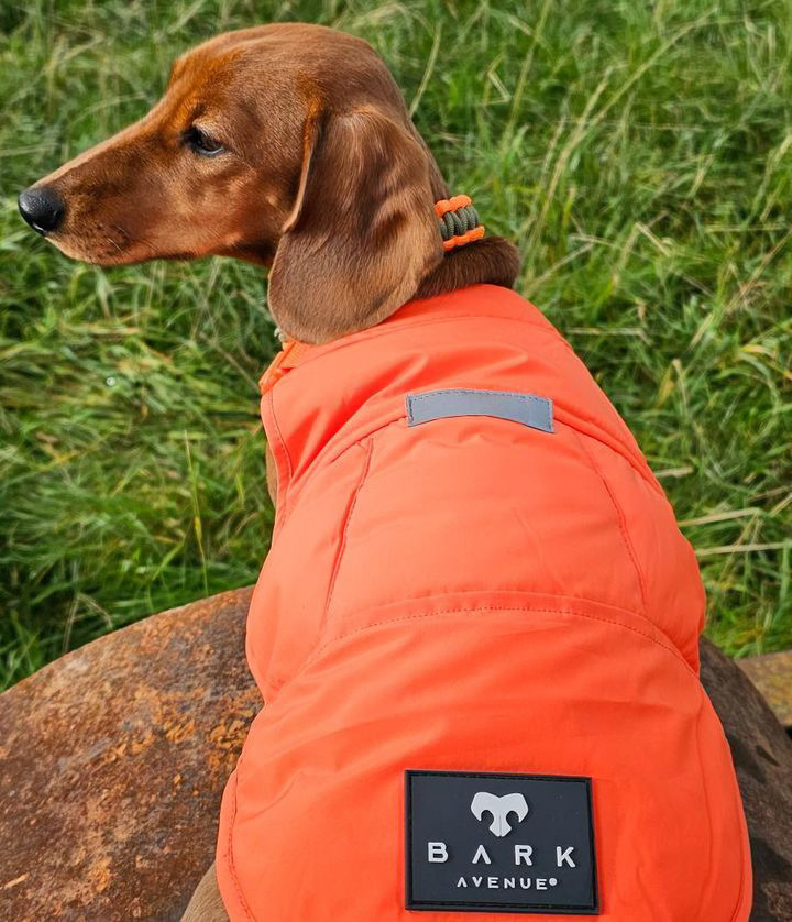 BARK AVENUE Luxury Ultimate Explorer Coat   - Orange