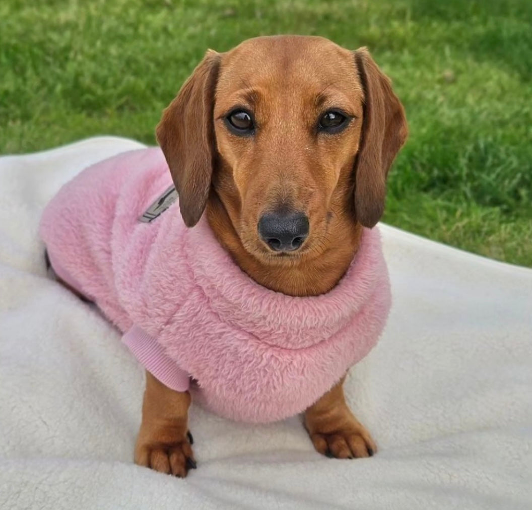 Dachshund Snuggle Fleece - Blush Pink