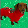 Load image into Gallery viewer, Sausage Dog Box Dachshund Christmas Elf Jumper
