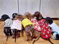 Load image into Gallery viewer, Sausage Dog Box, Dachshund Leopard Cute Cosy Dachshund PJ's Jumper

