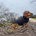 Load image into Gallery viewer, Black Cougar Sherpa Lined Dachshund Dog Coat / Parker Jacket For Sausage Dogs
