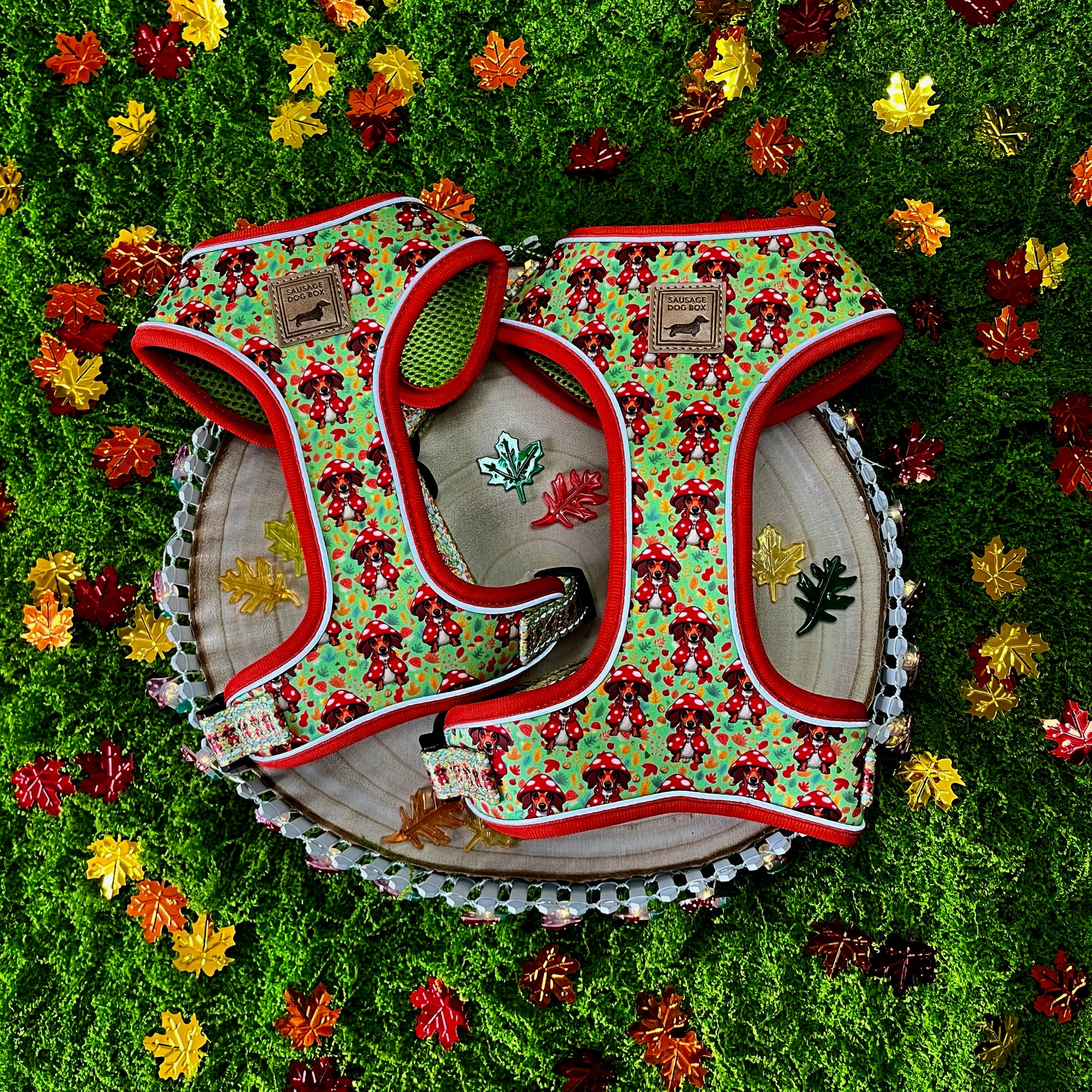Shroom Dog Anti-Rub Sausage Dog Harness