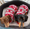 Load image into Gallery viewer, Sausage Dog Box Dachshund Winter Print Jumper

