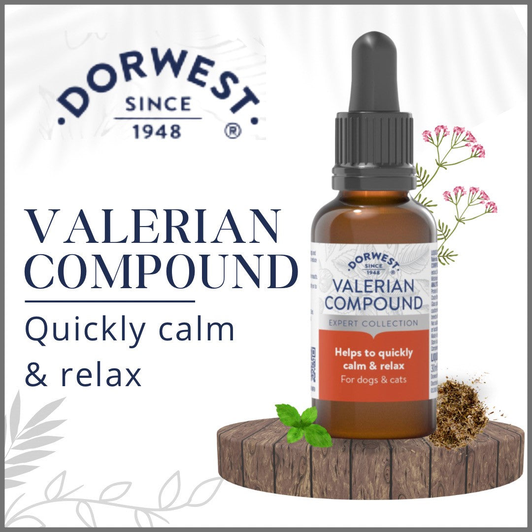 Dorwest Valerian Compound - For Anxious Dachshunds