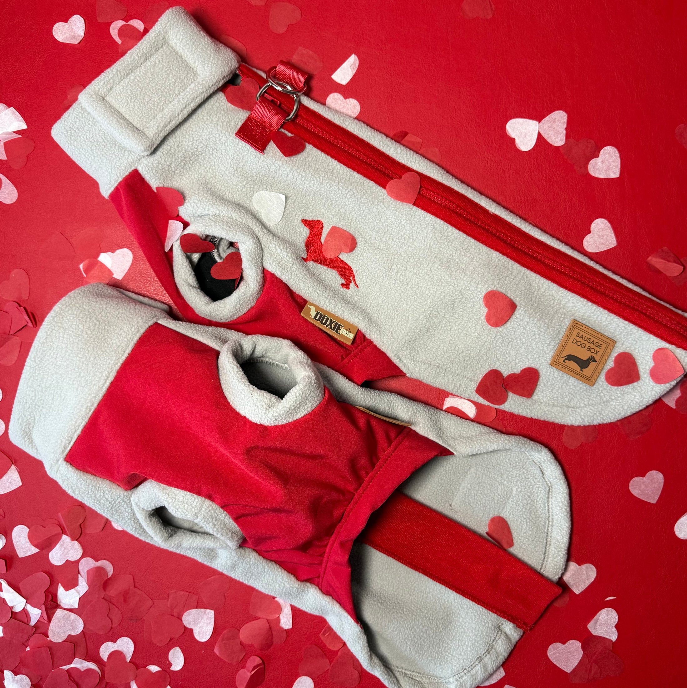 Cupids Kiss Waterproof Dachshund Harness Fleece | Sausage Dog Box DoxieDri