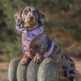 Load image into Gallery viewer, Pink Sophisticated Sausage Dachshund Anti-Rub Harness
