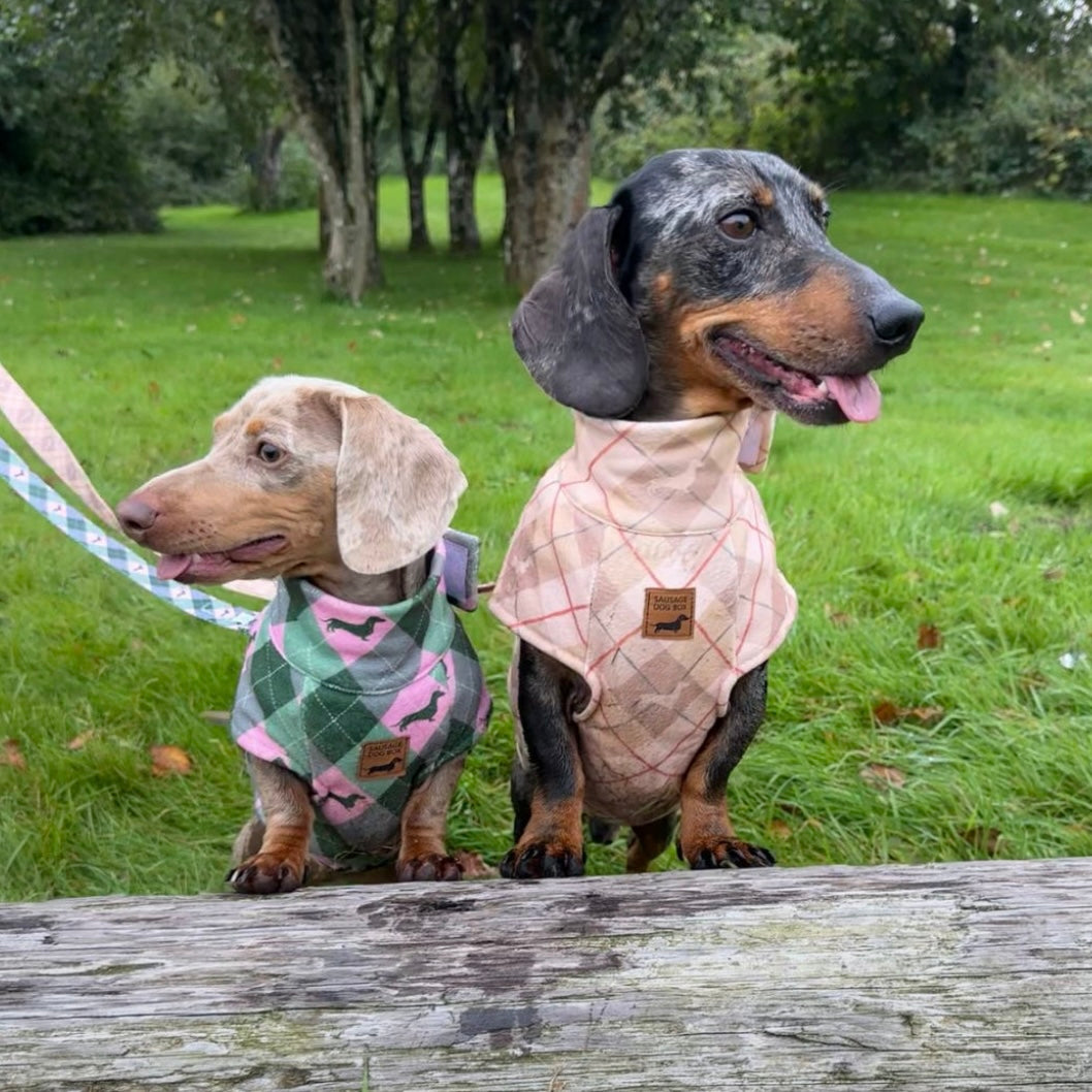 Pink Rosewood Argyle Fleece Dachshund Dog Jumper