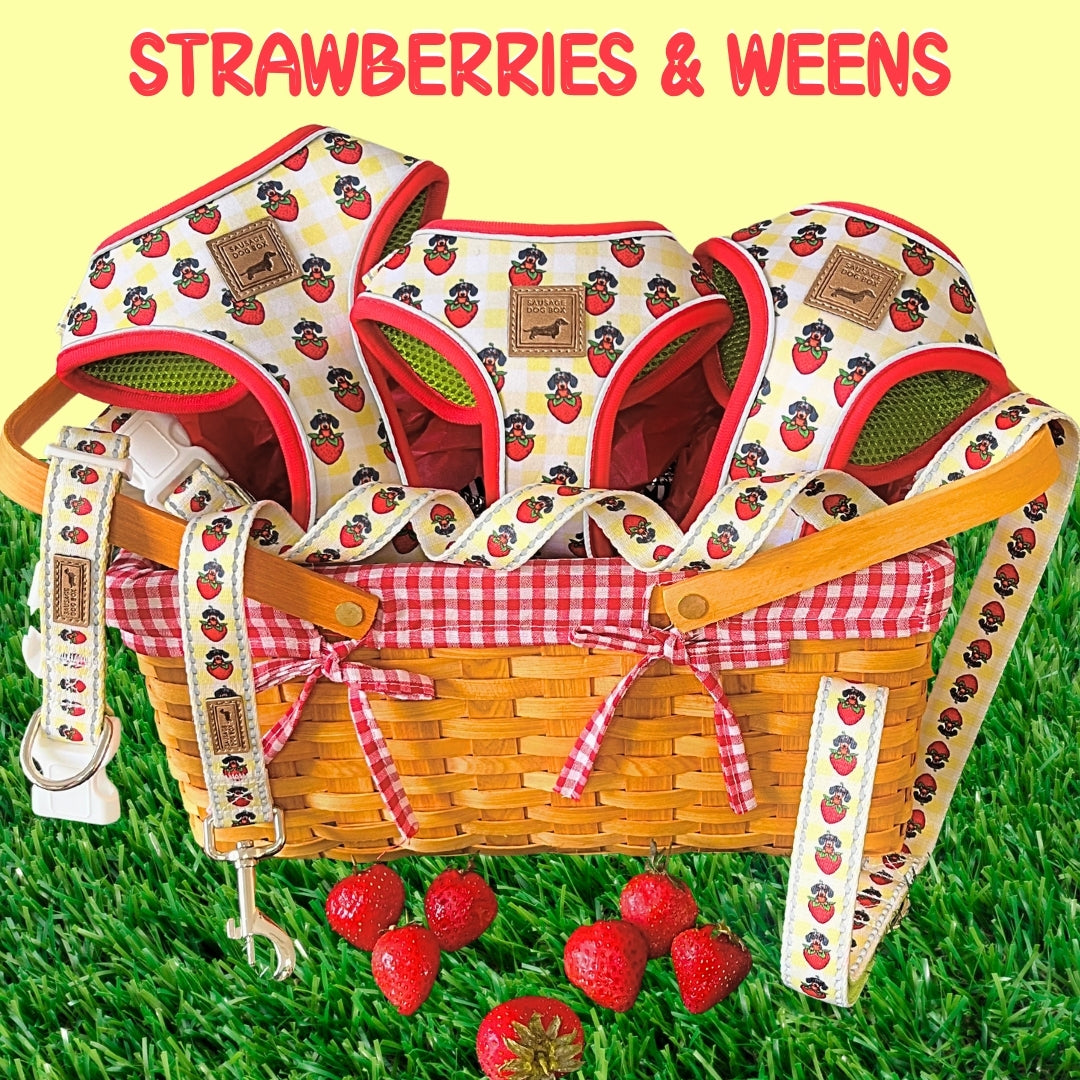 Strawberries & Weens Collar