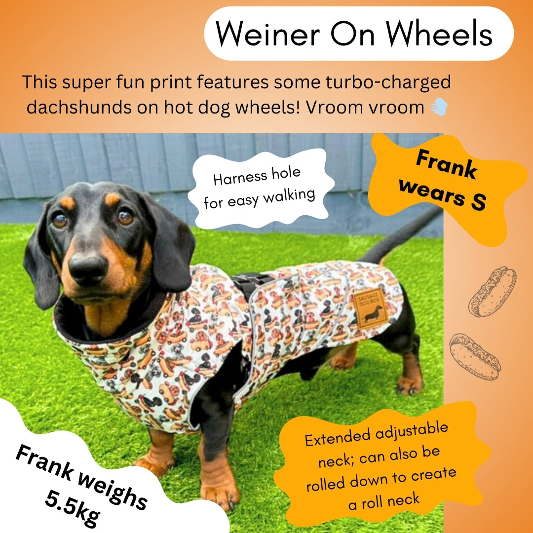 Weiner On Wheels Polartec Waterproof Dachshund Coat - Sausage Dog Box