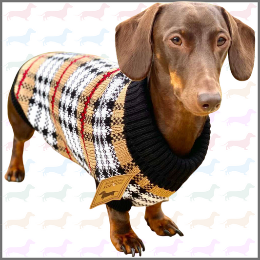 Sausage Dog Box Dachshund Chequered Jumper