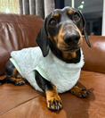 Load image into Gallery viewer, Frosty Mint Green Dachshund Snuggle Fleece - Sausage Dog Box Jumper
