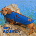 Load image into Gallery viewer, Azure Blue Waterproof Dachshund Harness Fleece | DoxieDri Jumper
