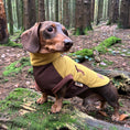 Load image into Gallery viewer, Golden Acorn Waterproof Dachshund Harness Fleece | Sausage Dog Box DoxieDri

