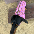 Load image into Gallery viewer, Fun Floss Purple Circus Dachshund Fleece Jumper / Sweater | Sausage Dog Box
