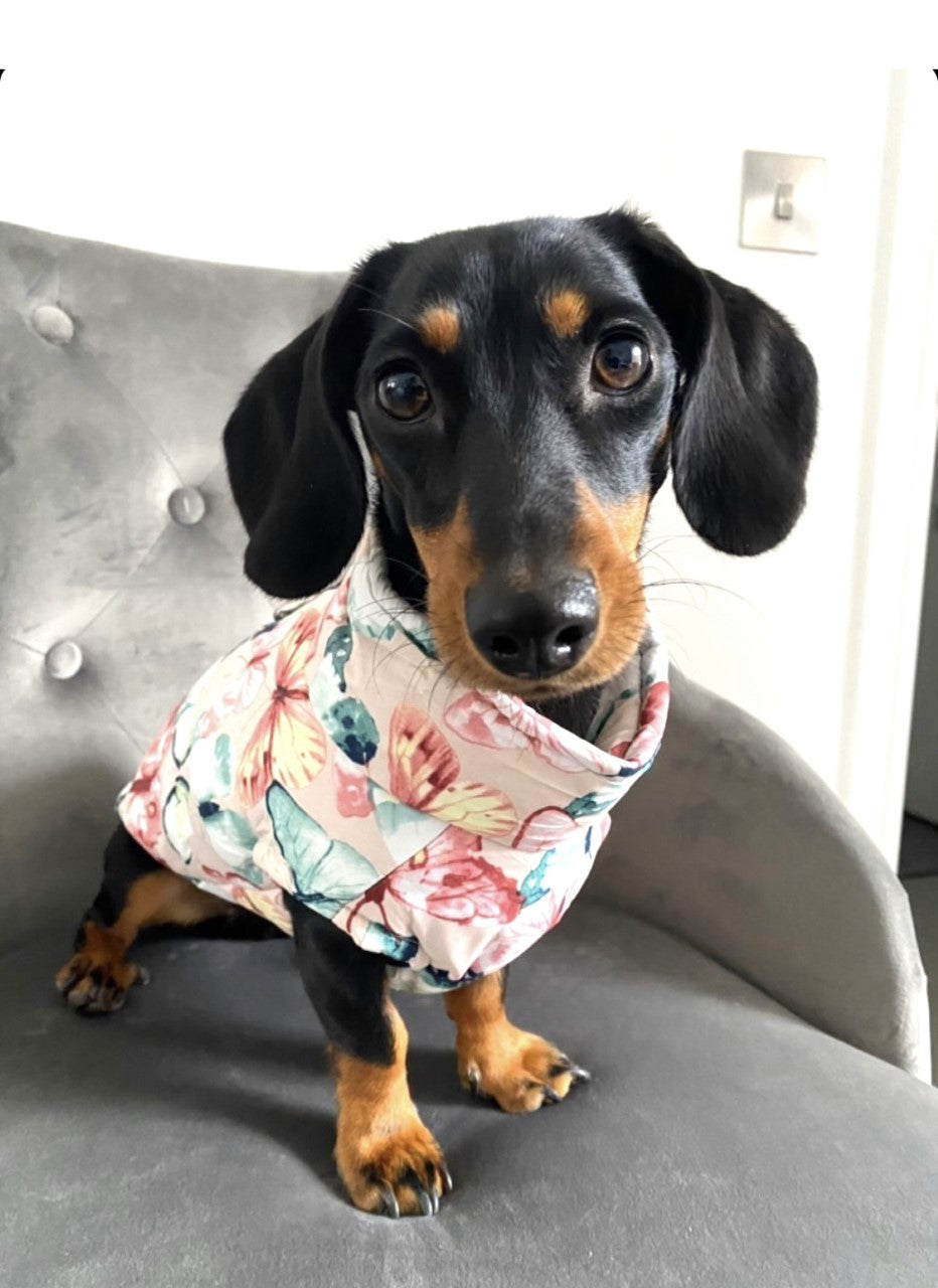 CLEARANCE - Sausage Dog Box Waterproof Puffer Step In Coat - Butterfly