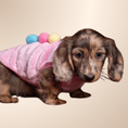 Load image into Gallery viewer, Pink ‘Ice Cream Sundae’ Sausage Dog Box Puppy Pj Jumper
