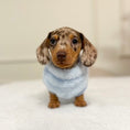 Load image into Gallery viewer, XXS Tiny Puppy Snuggle Dachshund Fleece - 20cm / 8inch Back | Sausage Dog Box

