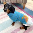 Load image into Gallery viewer, Sausage Dog Box Dachshund Giraffe Jumper
