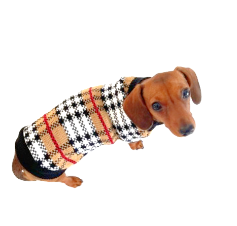 Sausage Dog Box Dachshund Chequered Jumper