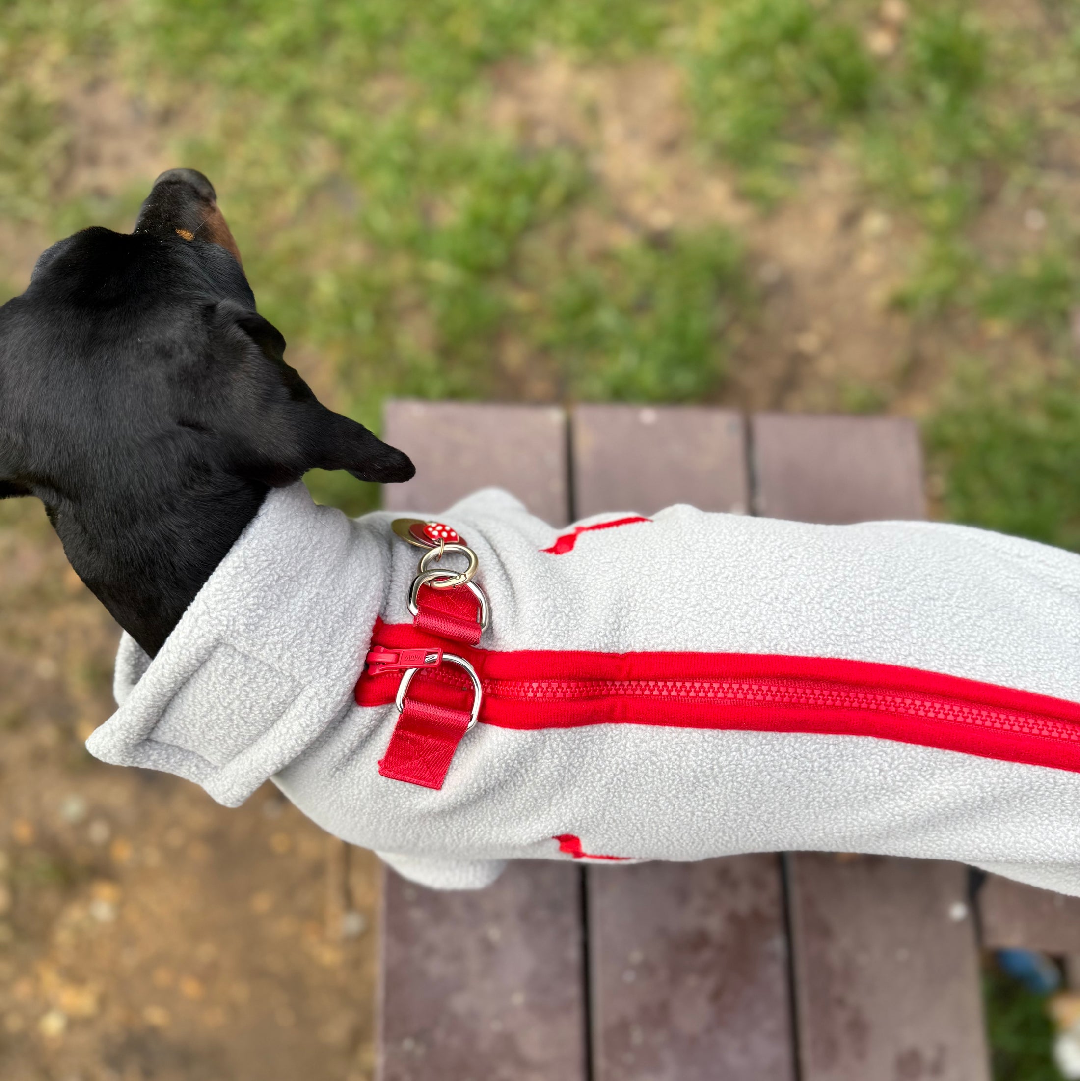 Cupids Kiss Waterproof Dachshund Harness Fleece | Sausage Dog Box DoxieDri