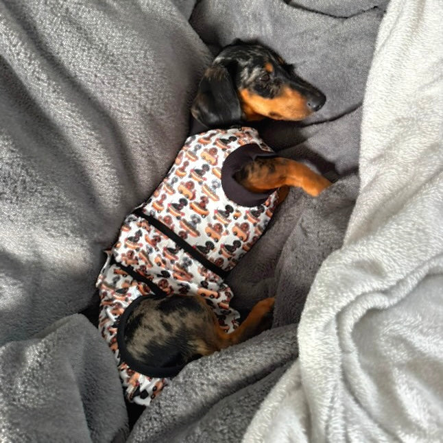 Antibacterial Dachshund Dog Surgery Suit | Sausage Dog Recovery / Allergy Outfit