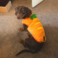 Load image into Gallery viewer, ‘The Carrot’ Dachshund Jumper PJ's | Sausage Dog Box
