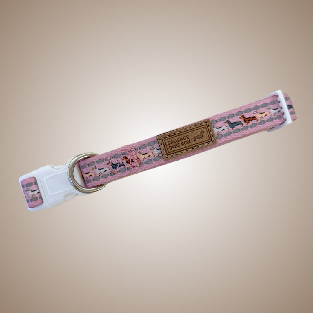 Pink Sophisticated Sausage Dachshund Collar - One Size
