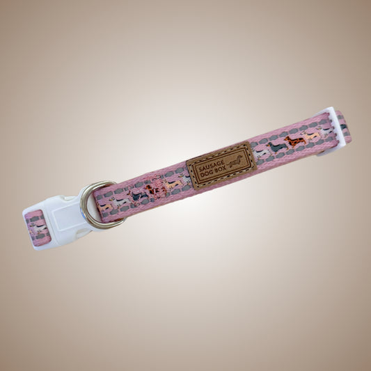 Pink Sophisticated Sausage Dachshund Collar - One Size