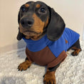 Load image into Gallery viewer, Azure Blue Waterproof Dachshund Harness Fleece | DoxieDri Jumper
