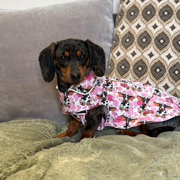 Howdy Cowgirl 'Dach-A-Mac' Dachshund Rain Mac In Bag