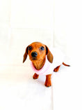 Load image into Gallery viewer, Sausage Dog Box Cosy Candyfloss Pink Cable Knit Dachshund Jumper
