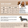 Load image into Gallery viewer, Daisy Balloon Dog Dachshund Anti-Rub Harness
