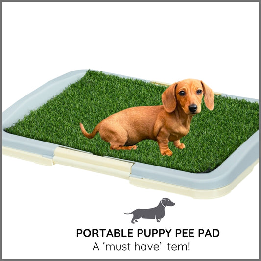 Sausage Dog Box Puppy Toilet Training Pee Grass Pad