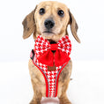 Load image into Gallery viewer, Red Houndstooth DoxieLite Dachshund Harness
