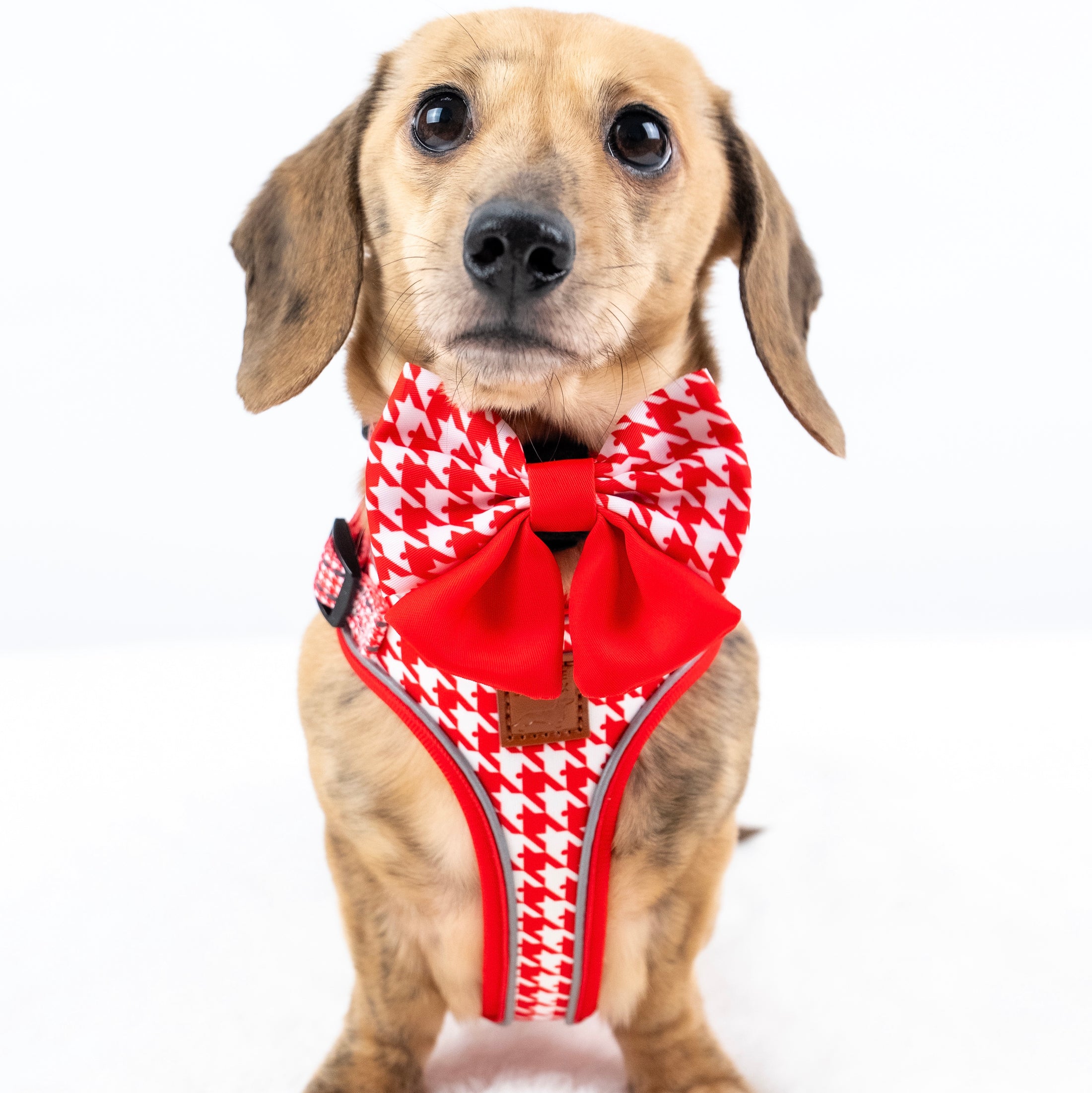 Red Houndstooth DoxieLite Dachshund Harness