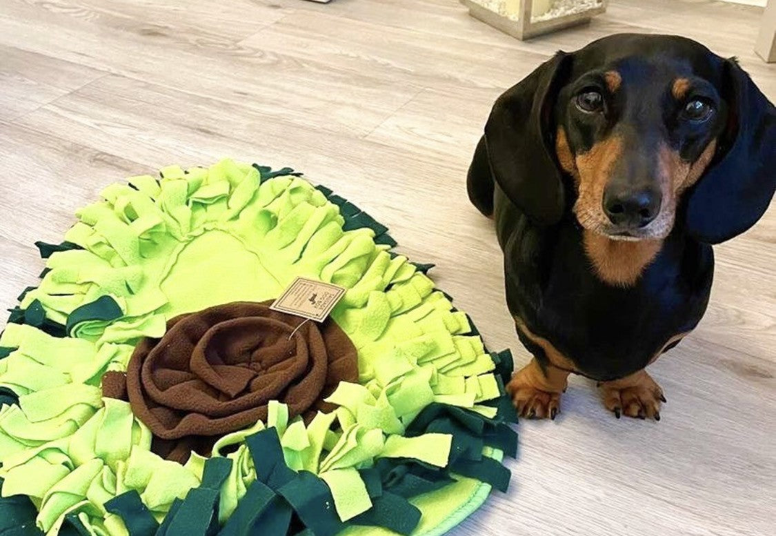 Sausage Dog Box Large Avocado Snuffle Mat