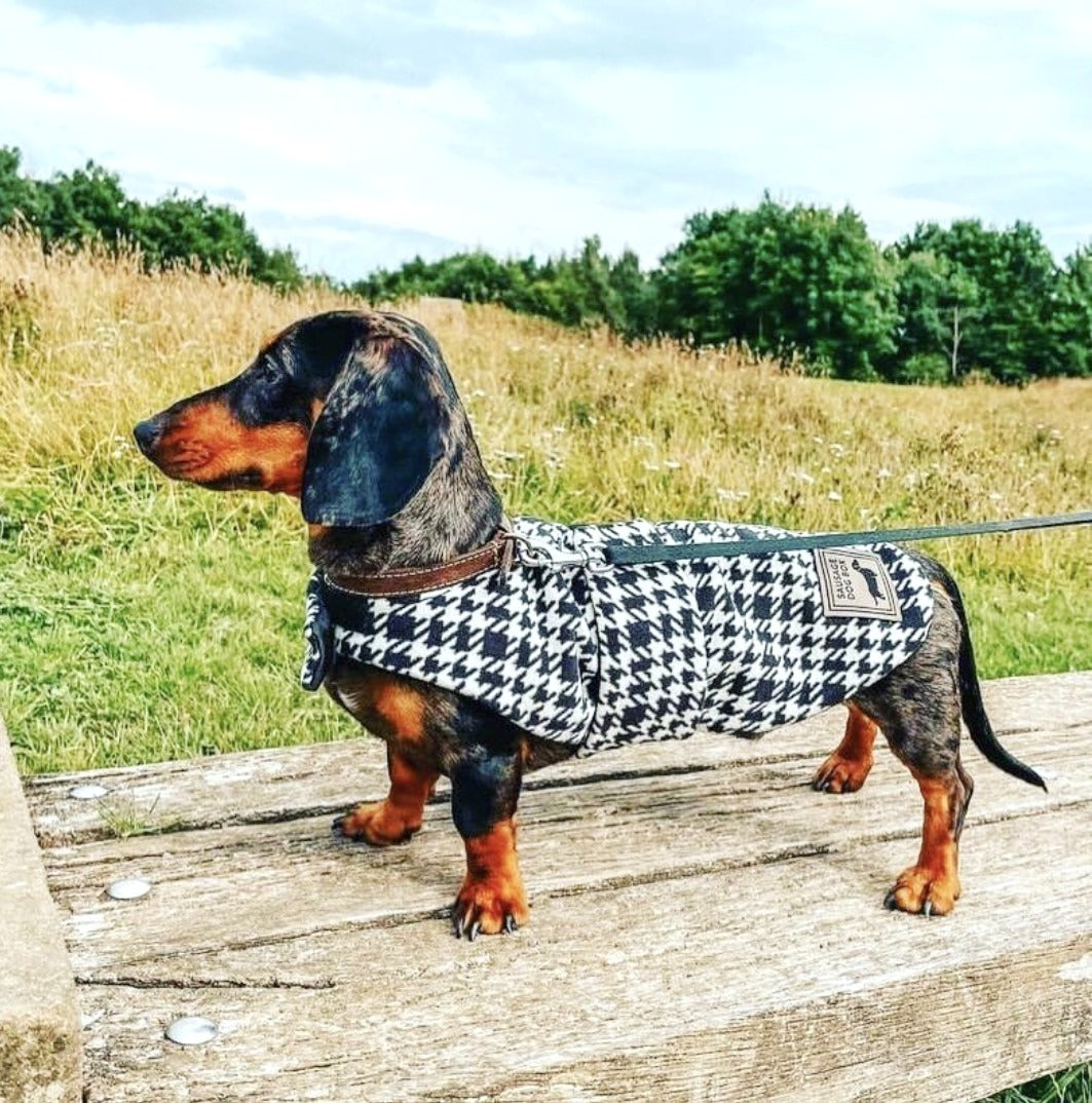 Sausage Dog Box Designer Fleece Waterproof 'Dog Tooth' Dachshund Coat