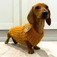 Load image into Gallery viewer, Honey Pie Luxury Cable Knit Dachshund Jumper - Sausage Dog Box
