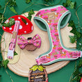 Load image into Gallery viewer, Enchanted Pink Anti-Rub Dachshund Harness
