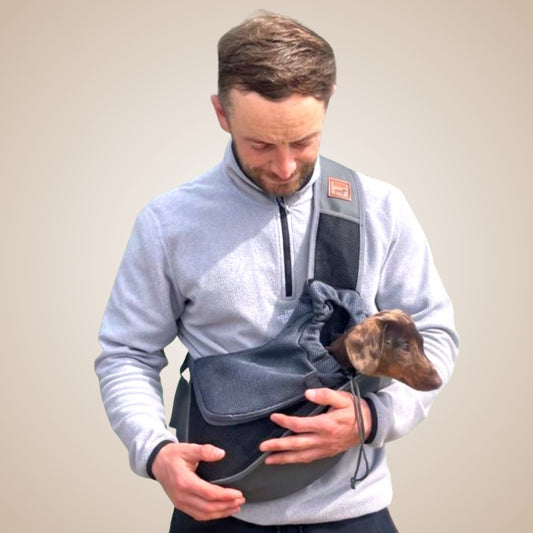 Sausage Dog Box Dachshund Puppy Sling Carrier Bag