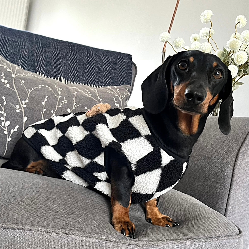 CLEARANCE - Sausage Dog Box Dachshund Teddy Bear Waistcoat - Black