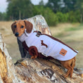 Load image into Gallery viewer, Lavender Fields Waterproof Dachshund Harness Fleece | Sausage Dog Box DoxieDri
