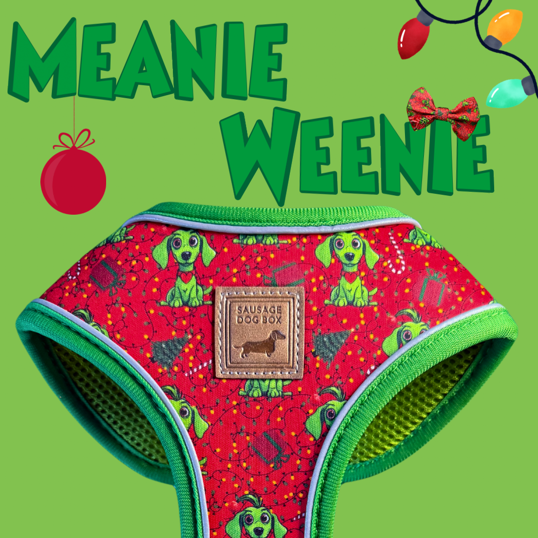 ‘Meanie Weenie’ Red Anti-Rub Dachshund Christmas Harness - Sausage Dog Box