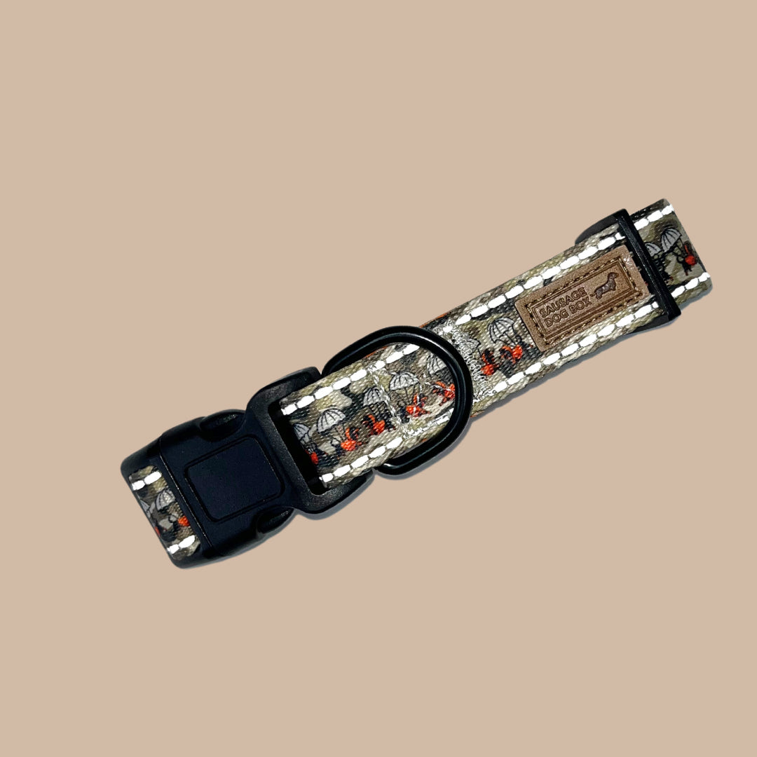 Action-Dax Collar