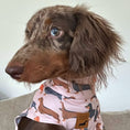 Load image into Gallery viewer, Beige Sausage Dog DoxieCool Dachshund Cooling Tee +30 Sun Protection Dog Vest
