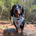 Load image into Gallery viewer, Dachshund Wonderland Weiner Bow Tie
