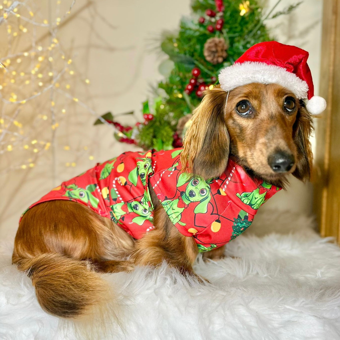 Red Dachshund Christmas Second Skin Tee - ‘Meanie Weenie’ | Sausage Dog Clothes