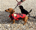 Load image into Gallery viewer, Sausage Dog Box Waterproof Step In Puffer Coat - Red

