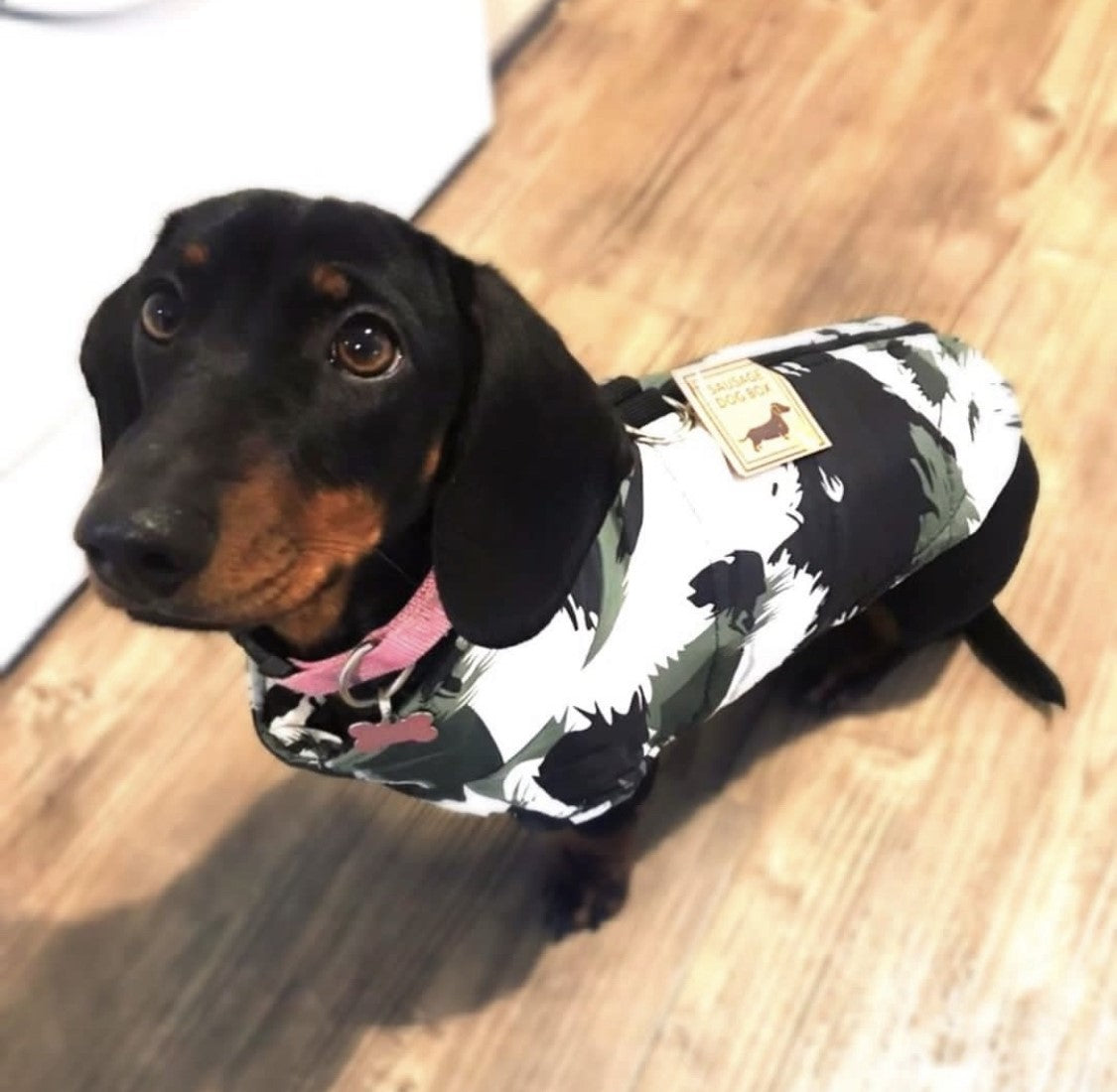 CLEARANCE - Sausage Dog Box Waterproof Step In Puffer Coat - Khaki Print