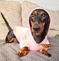 Load image into Gallery viewer, Sausage Dog Box Pink Dachshund Hoodie
